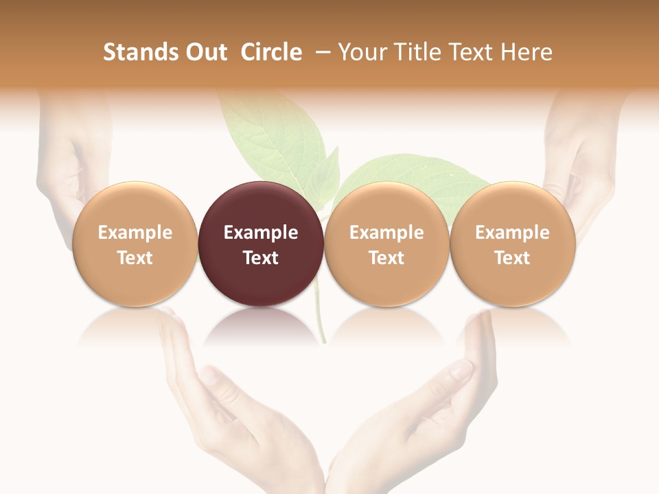 Concept Beginnings People PowerPoint Template