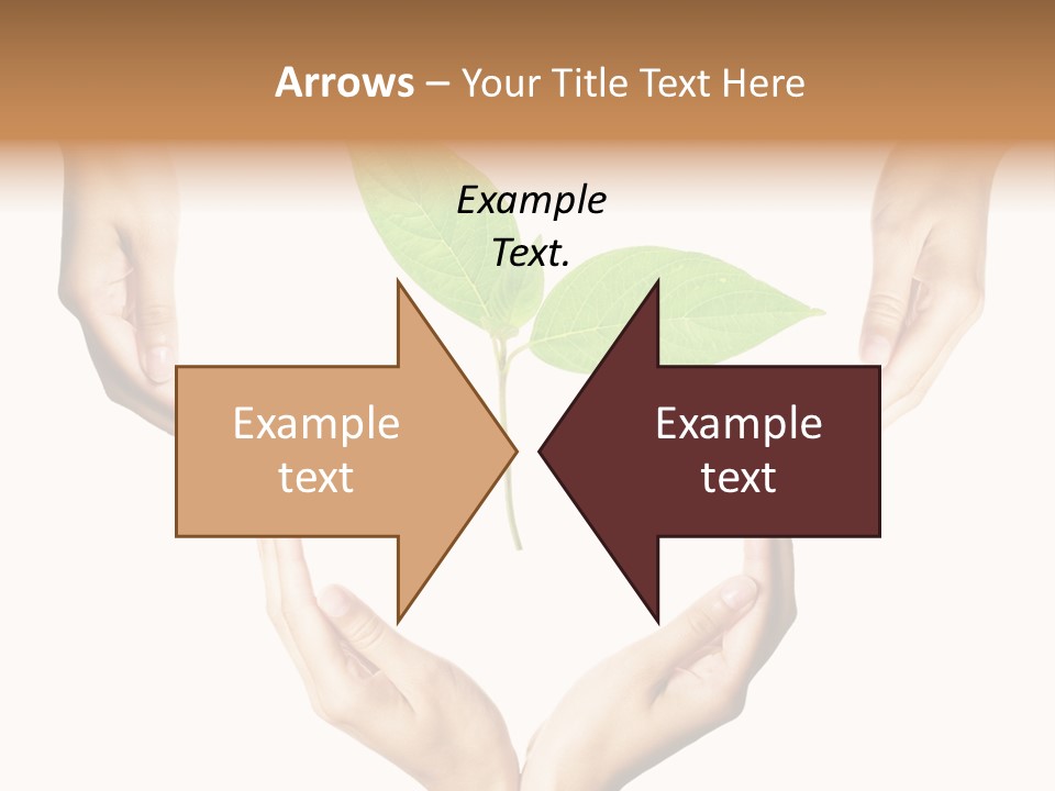 Concept Beginnings People PowerPoint Template