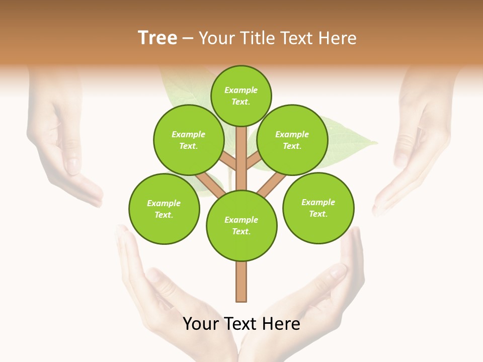 Concept Beginnings People PowerPoint Template