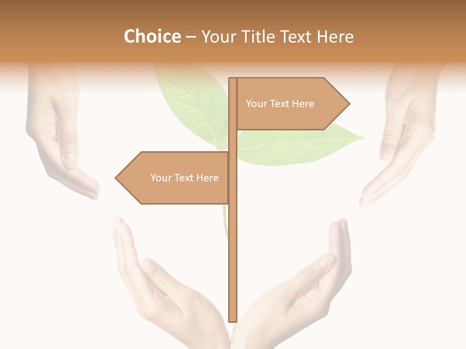 Concept Beginnings People PowerPoint Template