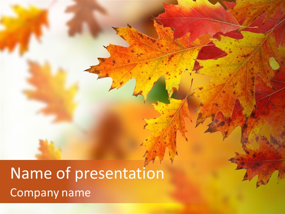 Background Forest Texture PowerPoint Template