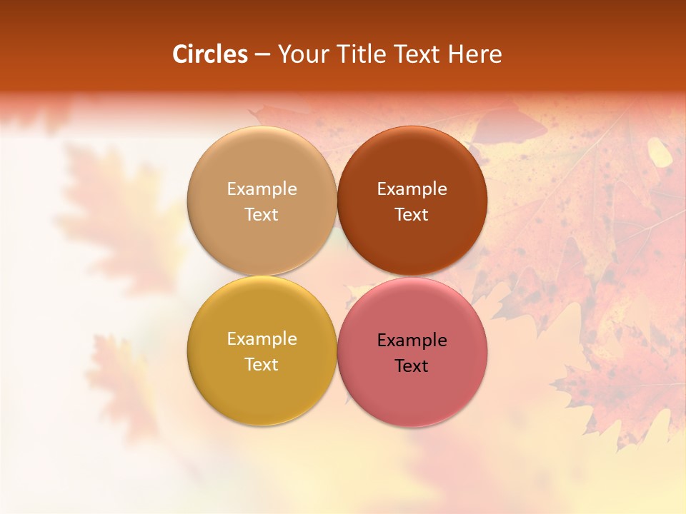 Background Forest Texture PowerPoint Template