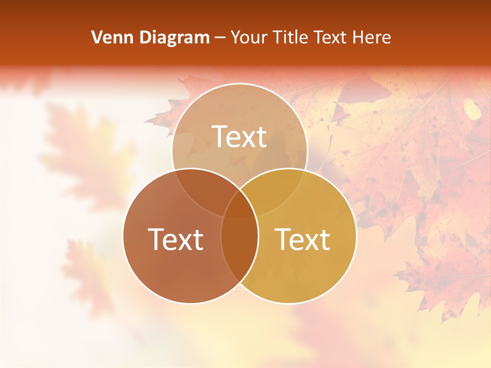 Background Forest Texture PowerPoint Template