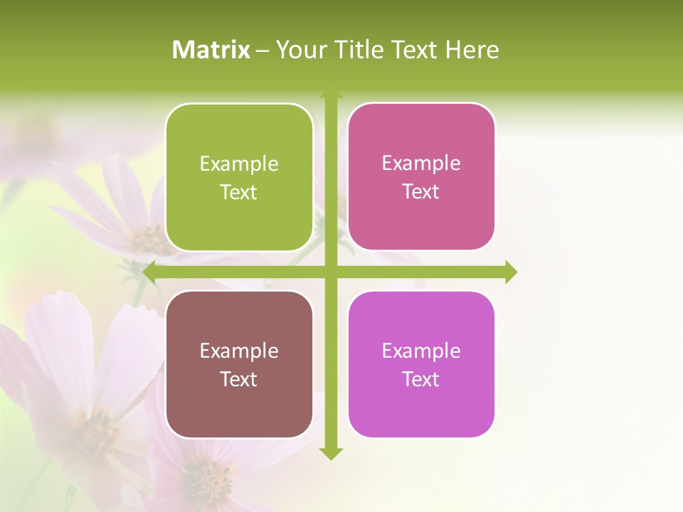 Isolated Wallpaper Close Up PowerPoint Template