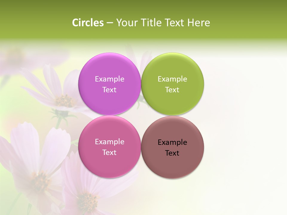 Isolated Wallpaper Close Up PowerPoint Template