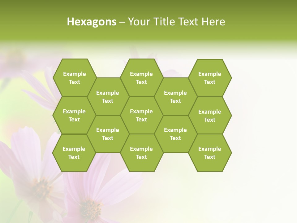 Isolated Wallpaper Close Up PowerPoint Template