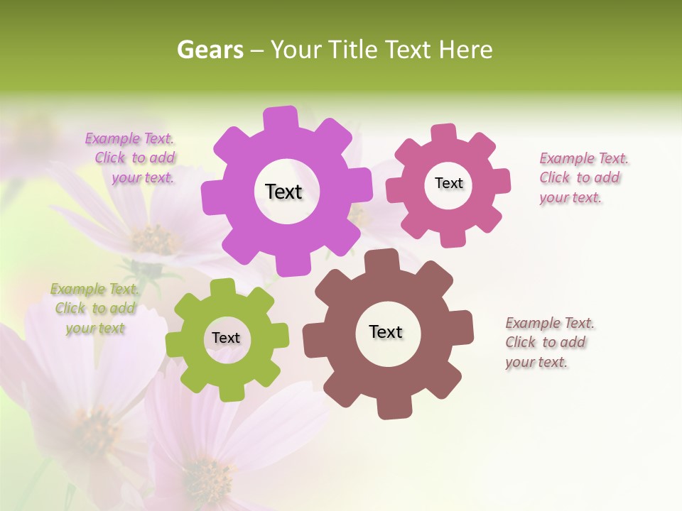 Isolated Wallpaper Close Up PowerPoint Template