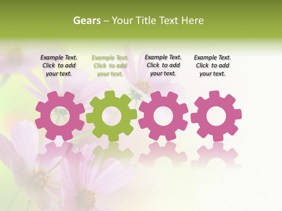 Isolated Wallpaper Close Up PowerPoint Template