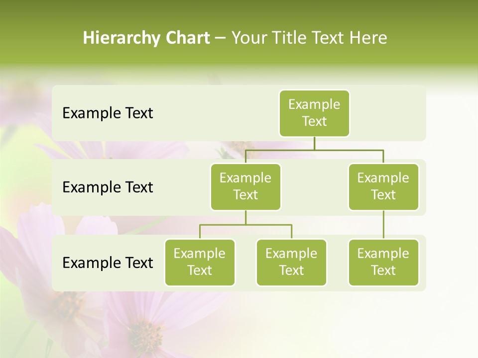 Isolated Wallpaper Close Up PowerPoint Template