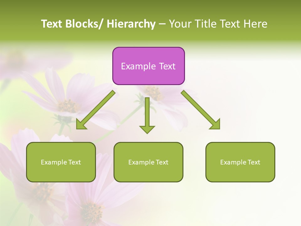 Isolated Wallpaper Close Up PowerPoint Template