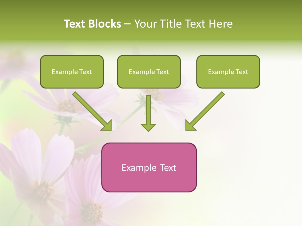 Isolated Wallpaper Close Up PowerPoint Template