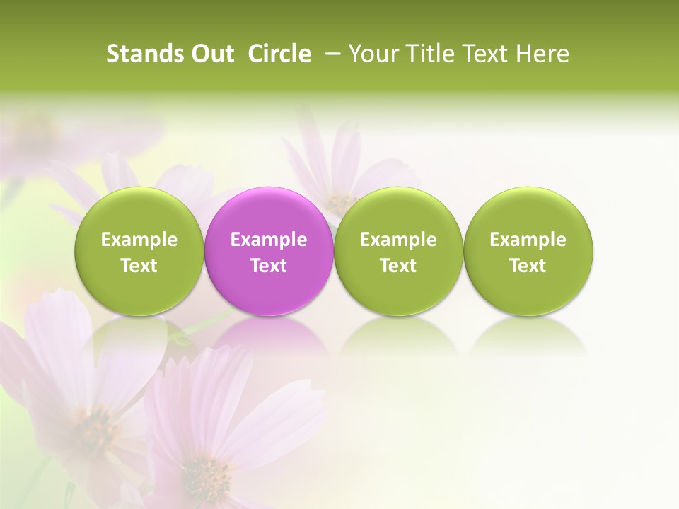 Isolated Wallpaper Close Up PowerPoint Template