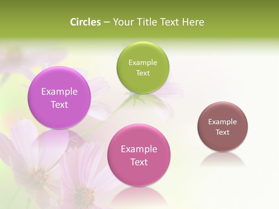 Isolated Wallpaper Close Up PowerPoint Template