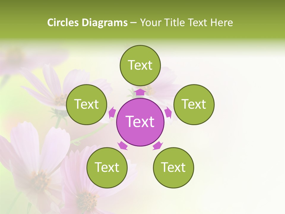 Isolated Wallpaper Close Up PowerPoint Template