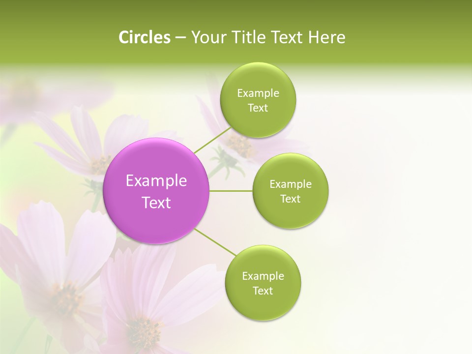 Isolated Wallpaper Close Up PowerPoint Template