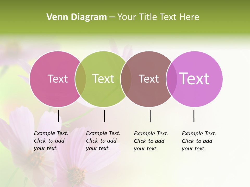 Isolated Wallpaper Close Up PowerPoint Template