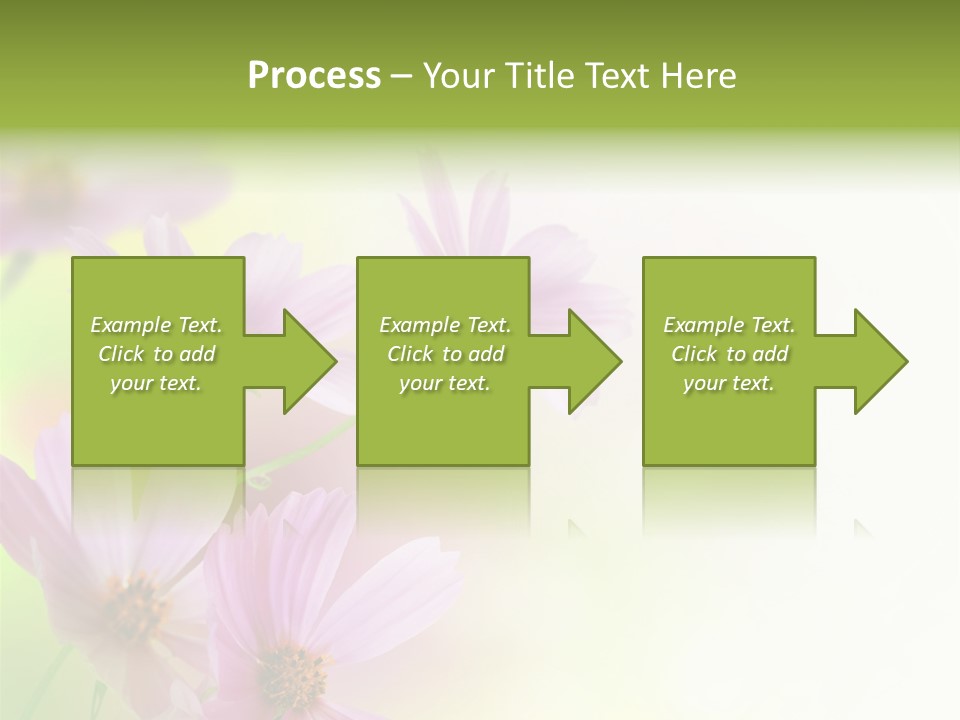 Isolated Wallpaper Close Up PowerPoint Template