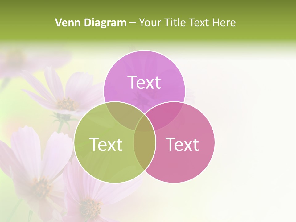 Isolated Wallpaper Close Up PowerPoint Template