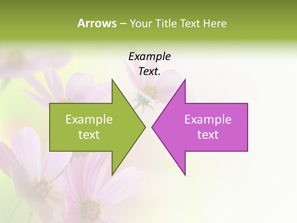 Isolated Wallpaper Close Up PowerPoint Template