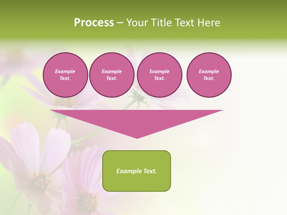 Isolated Wallpaper Close Up PowerPoint Template