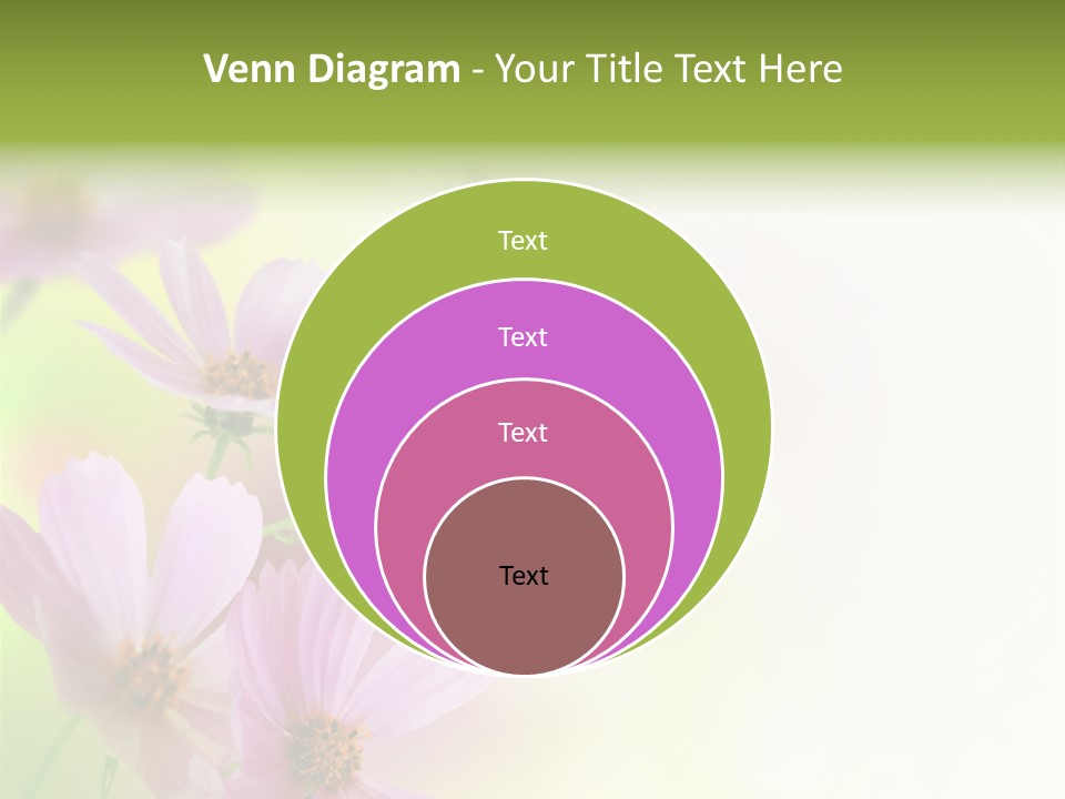 Isolated Wallpaper Close Up PowerPoint Template