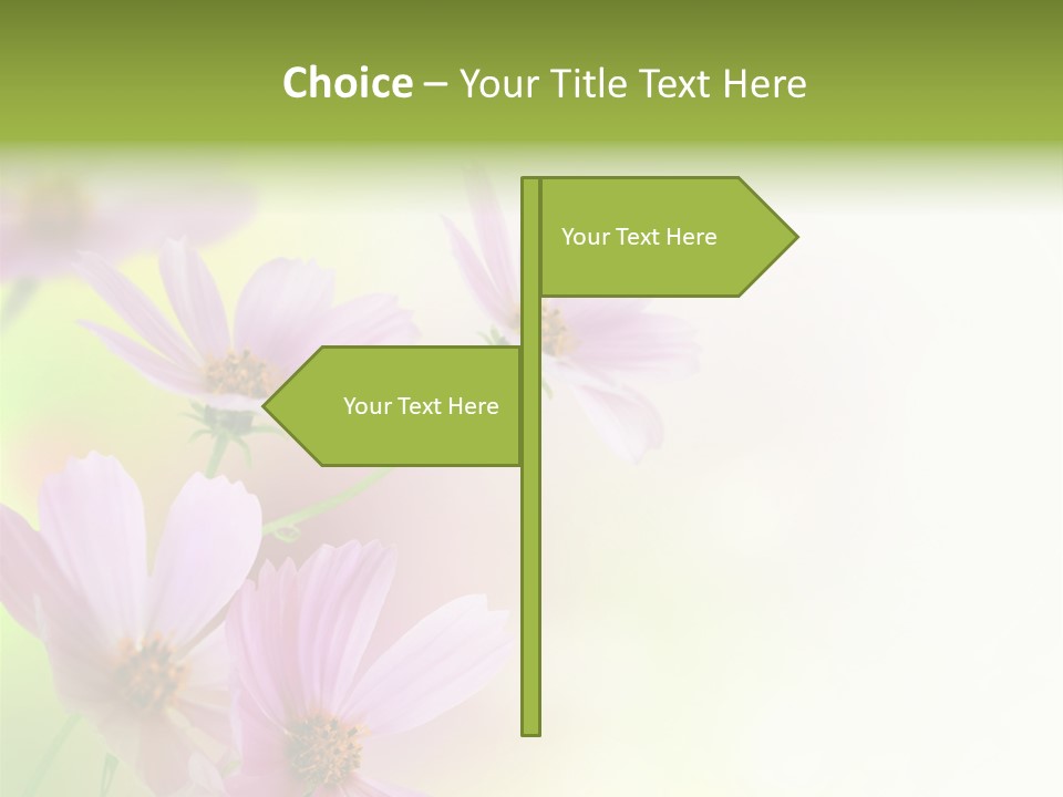Isolated Wallpaper Close Up PowerPoint Template
