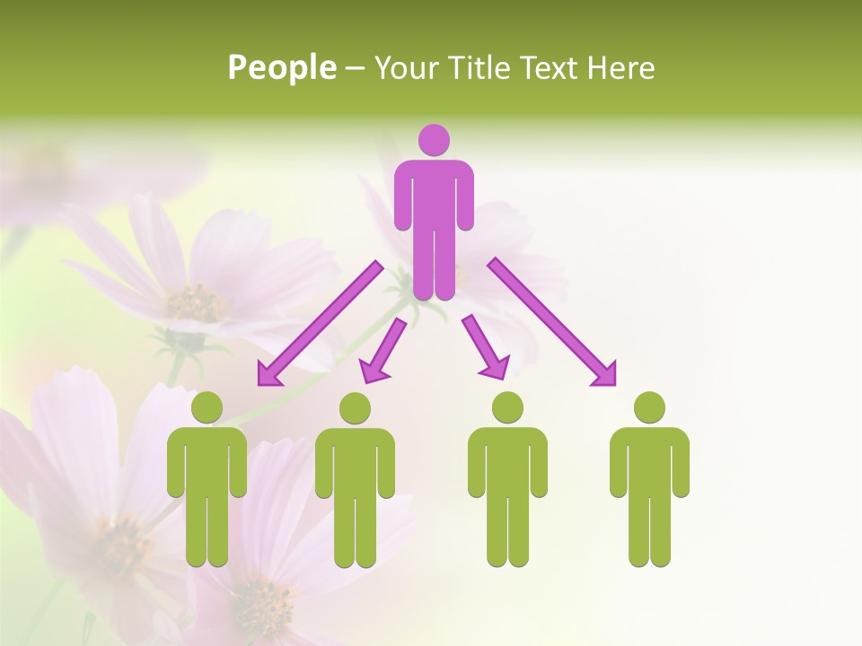 Isolated Wallpaper Close Up PowerPoint Template