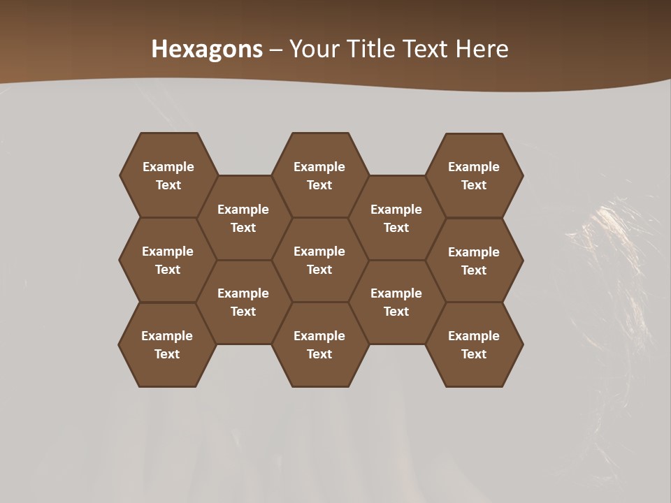 People S Modesty PowerPoint Template