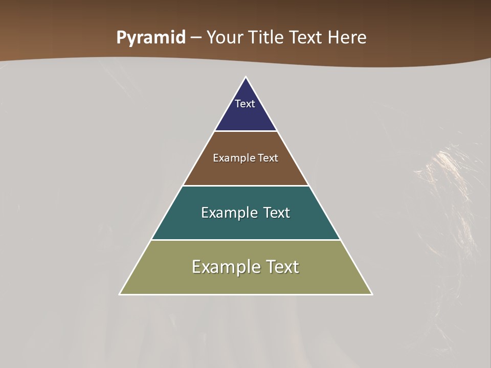 People S Modesty PowerPoint Template