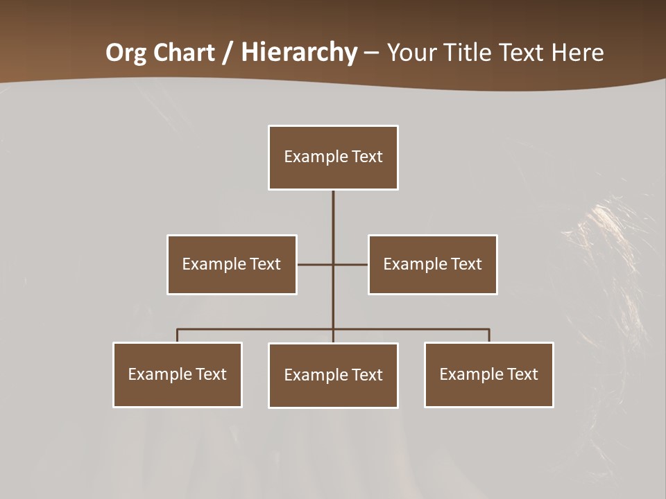 People S Modesty PowerPoint Template