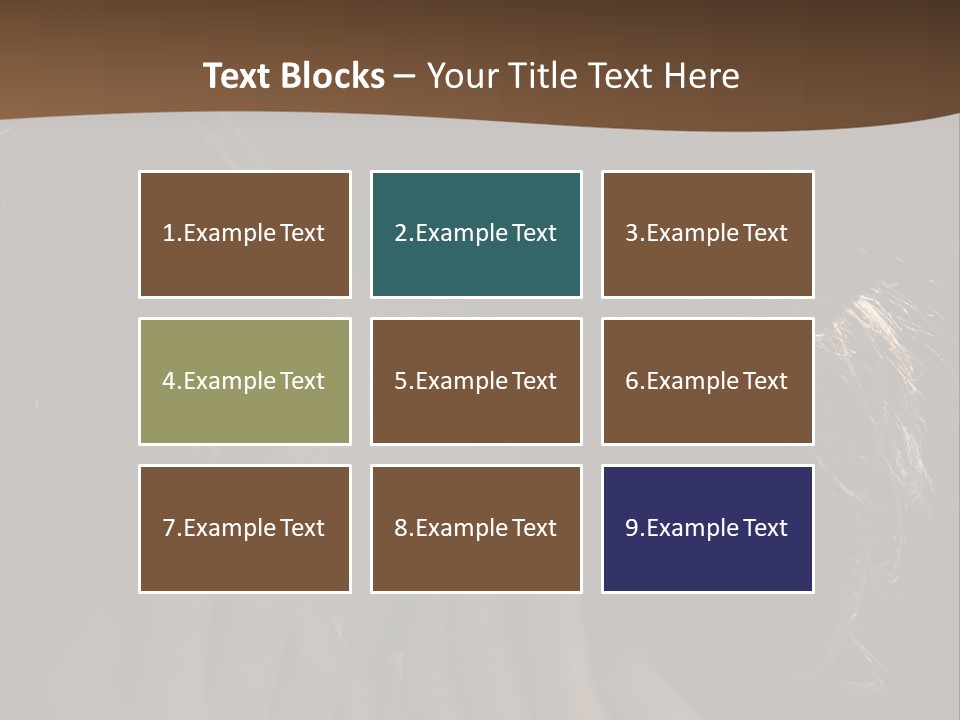 People S Modesty PowerPoint Template