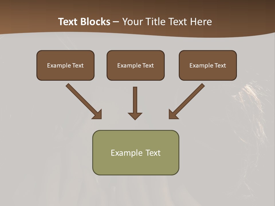 People S Modesty PowerPoint Template