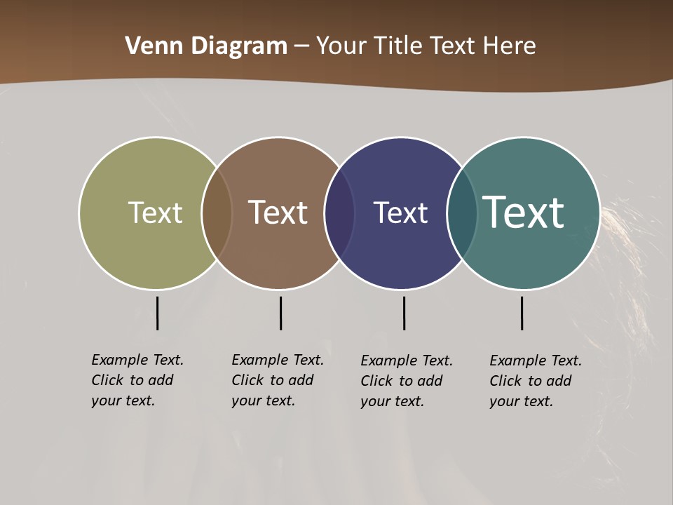 People S Modesty PowerPoint Template