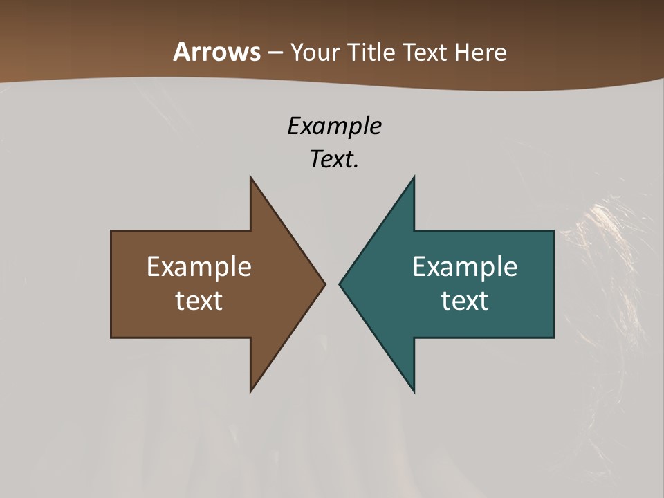 People S Modesty PowerPoint Template