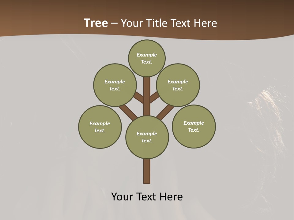 People S Modesty PowerPoint Template