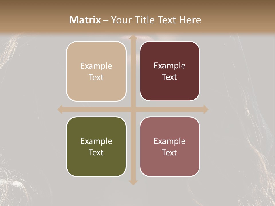 Photography Hair  PowerPoint Template