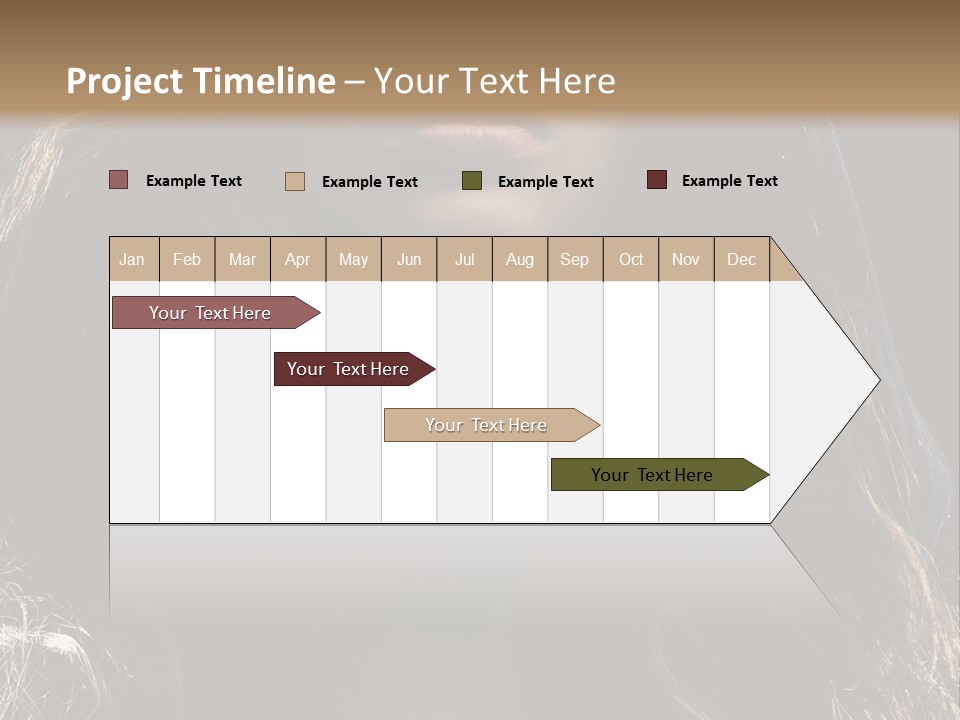 Photography Hair  PowerPoint Template