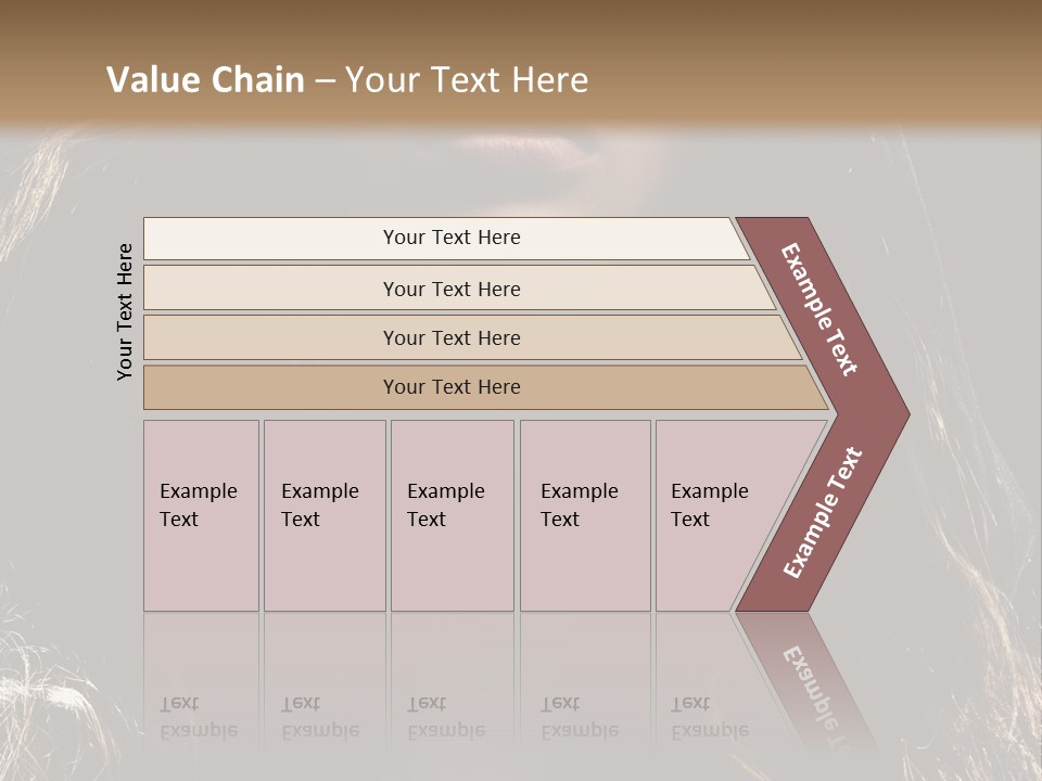 Photography Hair  PowerPoint Template