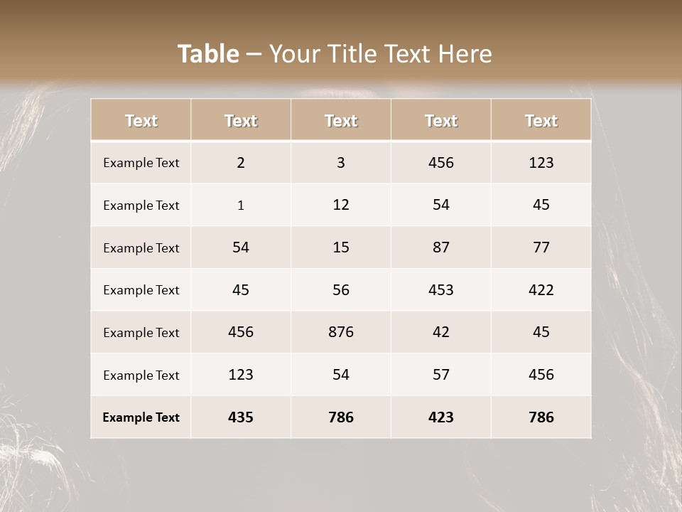 Photography Hair  PowerPoint Template