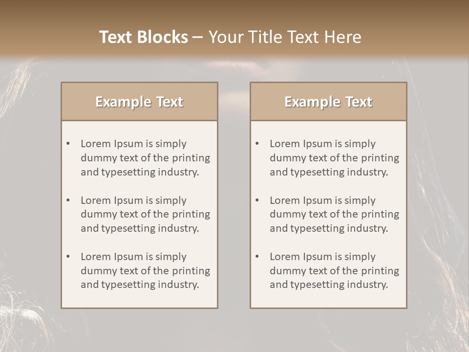 Photography Hair  PowerPoint Template