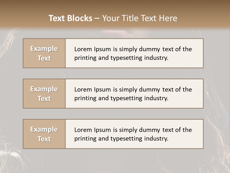 Photography Hair  PowerPoint Template