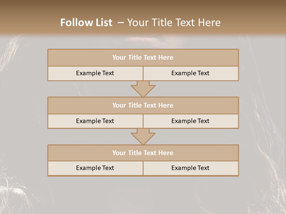 Photography Hair  PowerPoint Template