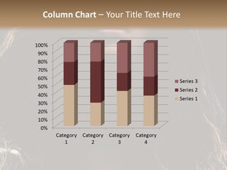 Photography Hair  PowerPoint Template