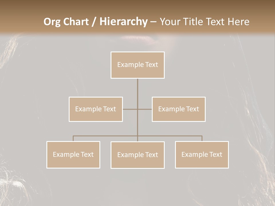 Photography Hair  PowerPoint Template