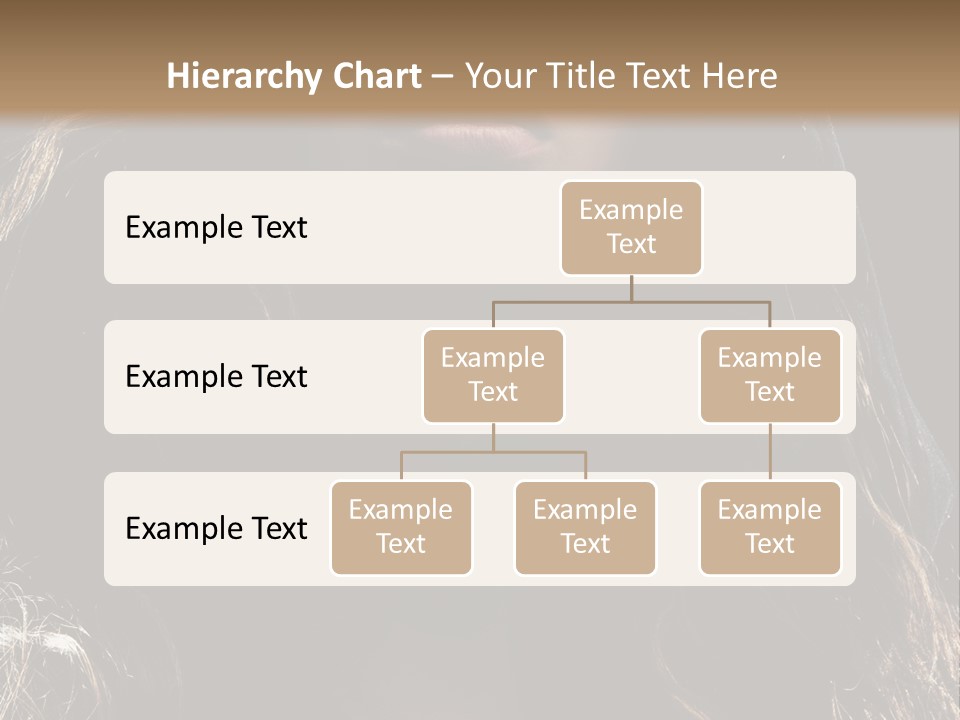 Photography Hair  PowerPoint Template