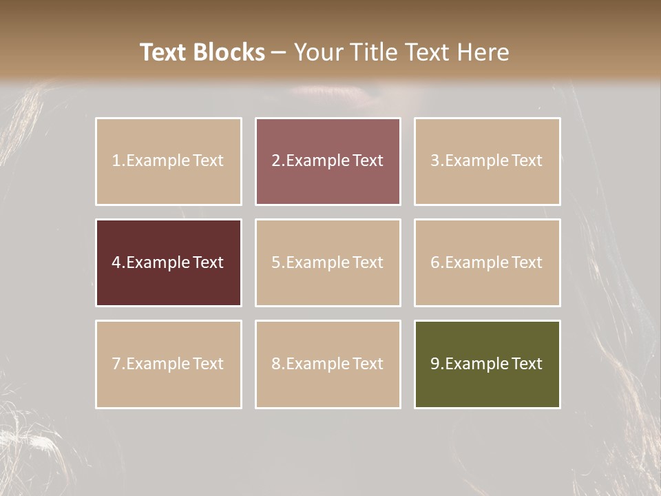 Photography Hair  PowerPoint Template