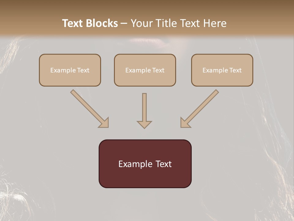 Photography Hair  PowerPoint Template