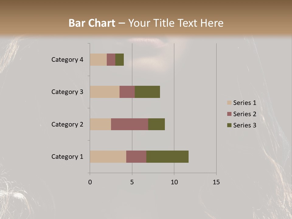Photography Hair  PowerPoint Template