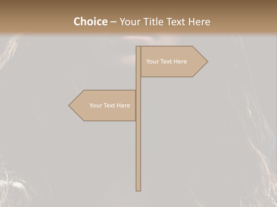 Photography Hair  PowerPoint Template