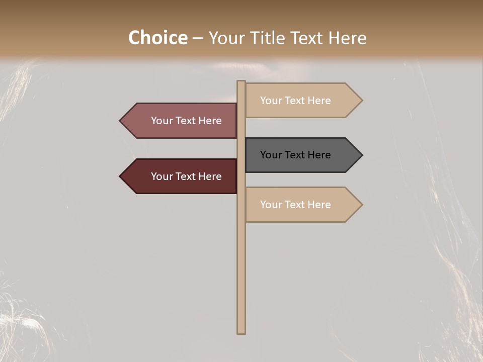 Photography Hair  PowerPoint Template